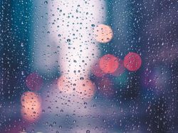 Fantastic Foggy Friday