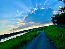 Sunday Salvage Spinnerama