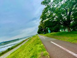 Tormenting Thursday Tarmac Travels