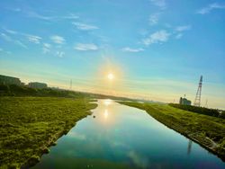 Feverish Friday Fantasy