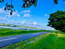 Tangy Tuesday Travels