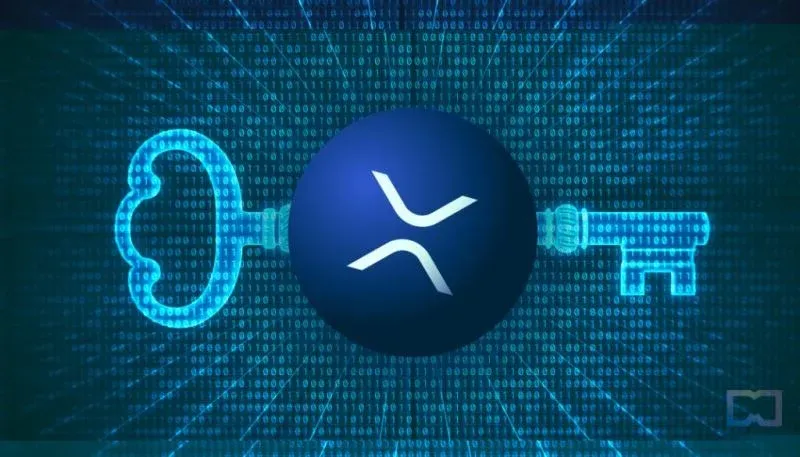 Comprehensive Guide to XRP Cold Wallets