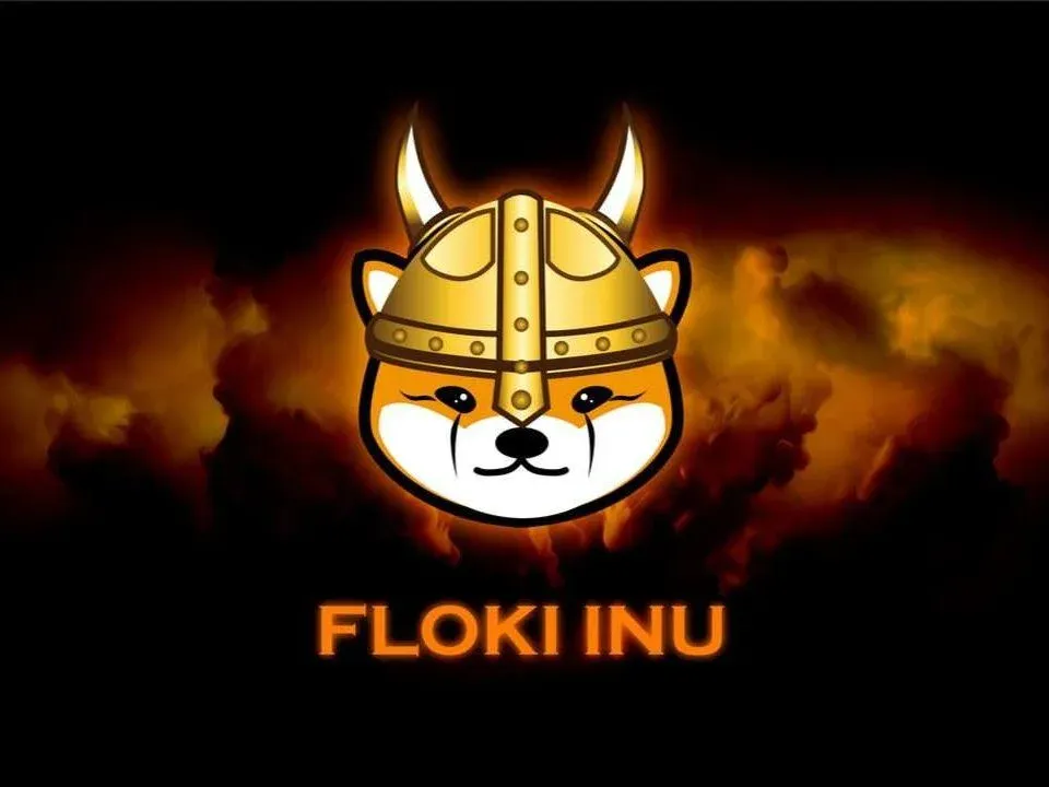 FLOKI 24‑hour candlestick with RSI, MA, MACD, volume