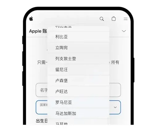 iPhone settings page showing email and verification‑code phone‑number input fields