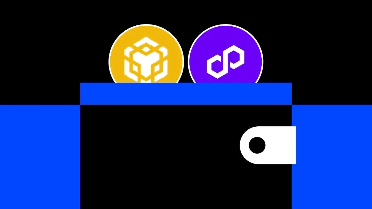 如何將 MetaMask 連接到 BNB、Polygon 和其他支援的區塊鏈：詳細指南