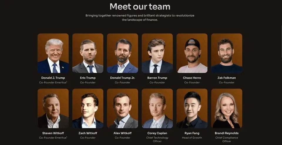 Diagram of WLFI’s three‑pillar structure featuring the U.S. flag and Delaware emblem