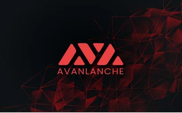 Popular Cryptocurrencies Overview