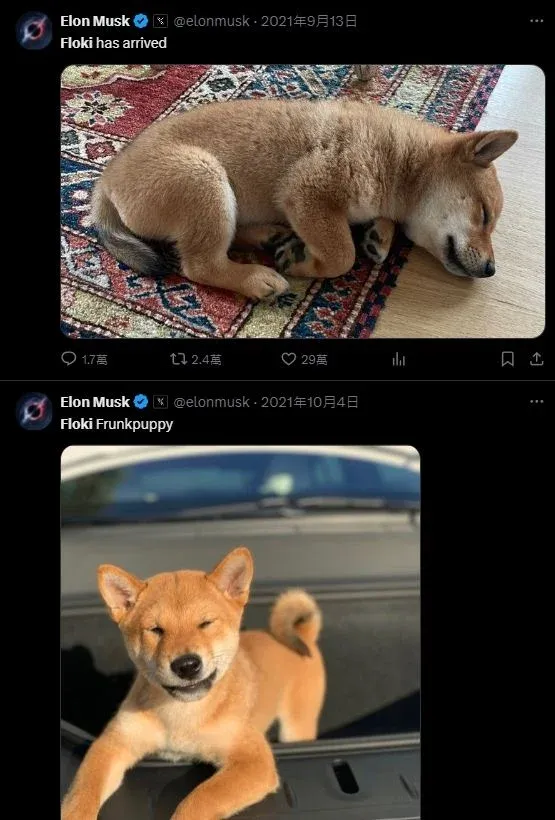 Diagrama del ecosistema Floki: NFT, metaverso, educación, DeFi, caridad, puente inter‑cadena