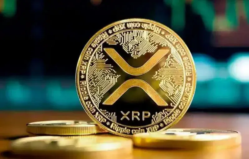 Ripple (XRP) Spot ETF Gains Attention, XRP Enters New Institutional Phase
