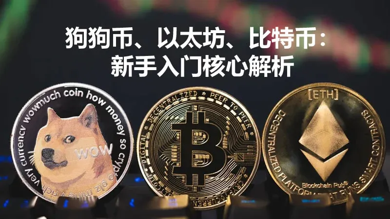 狗狗币、以太坊、比特币：新手入门核心解析（附选币与风险指南）