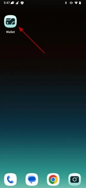 Seeker (SKR) airdrop claim interface