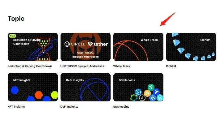 Tokenview.io 页面显示 Whale Track 大额交易记录