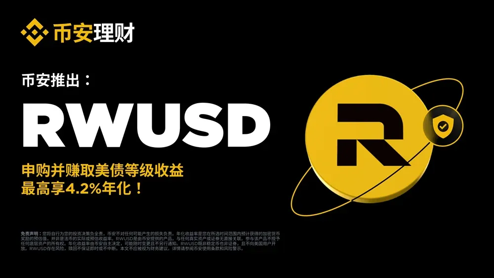 Página de ativos RWUSD na plataforma Binance