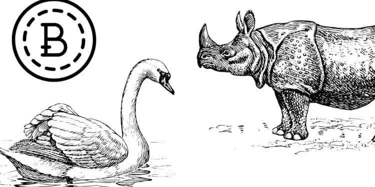 黑天鵝與灰犀牛事件是什麼？如何提前防範？