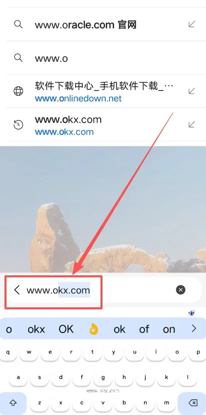 Step 1 – Prepare network environment and access the official site