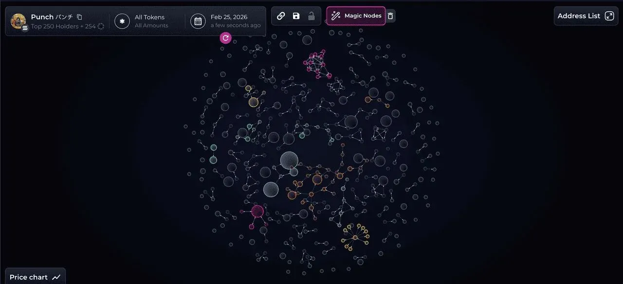 Mapa de bolhas da distribuição de holdings e liquidez do token PUNCH