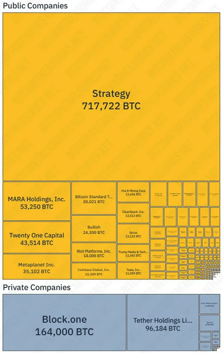Gráfico de barras mostrando a quantidade de Bitcoin detida por empresas listadas, privadas e DAT