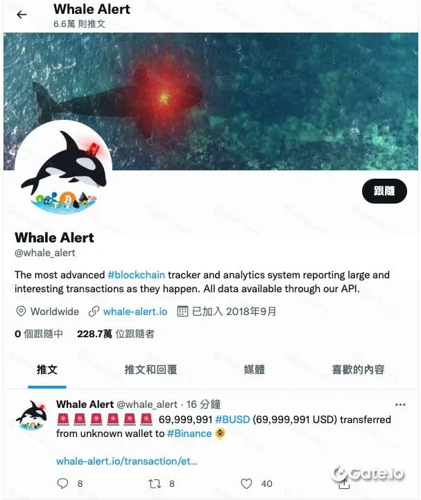 Twitter Whale Alert showing a large‑volume movement for a specific token