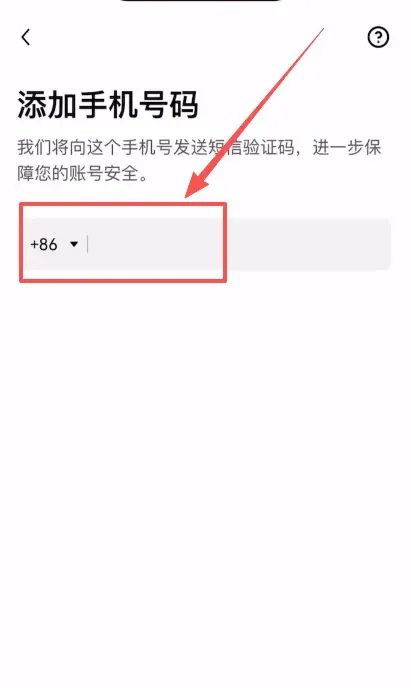 Email verification and mobile binding (supports +86) – screenshot 2