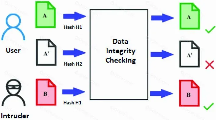 加密哈希入门与现实世界影响：碰撞攻击与防御策略