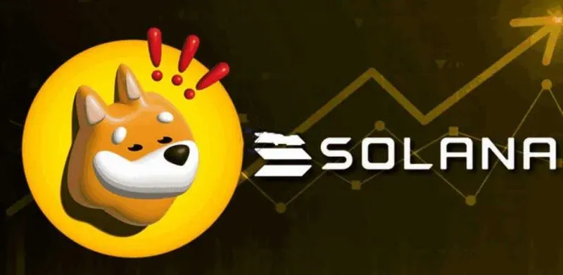 Solana 上的 BONK 迷因币标志