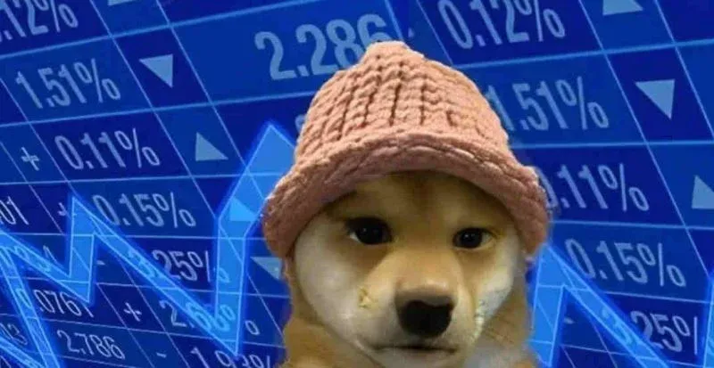 戴粉色针织帽的柴犬卡通形象 代表WIF迷因币