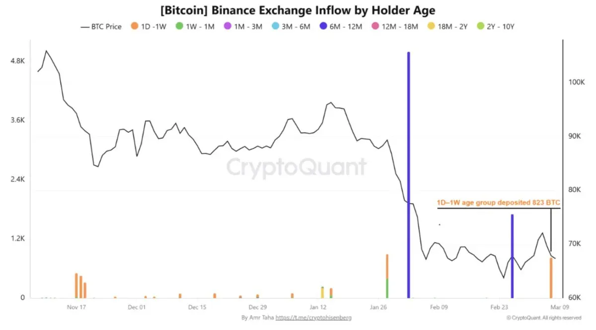 Bar chart of Binance Bitcoin holder age distribution and inflows