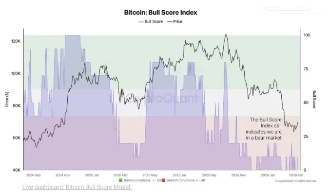 Gráfico de preço do Bitcoin mostrando o pico de US$ 74.000 e posterior queda