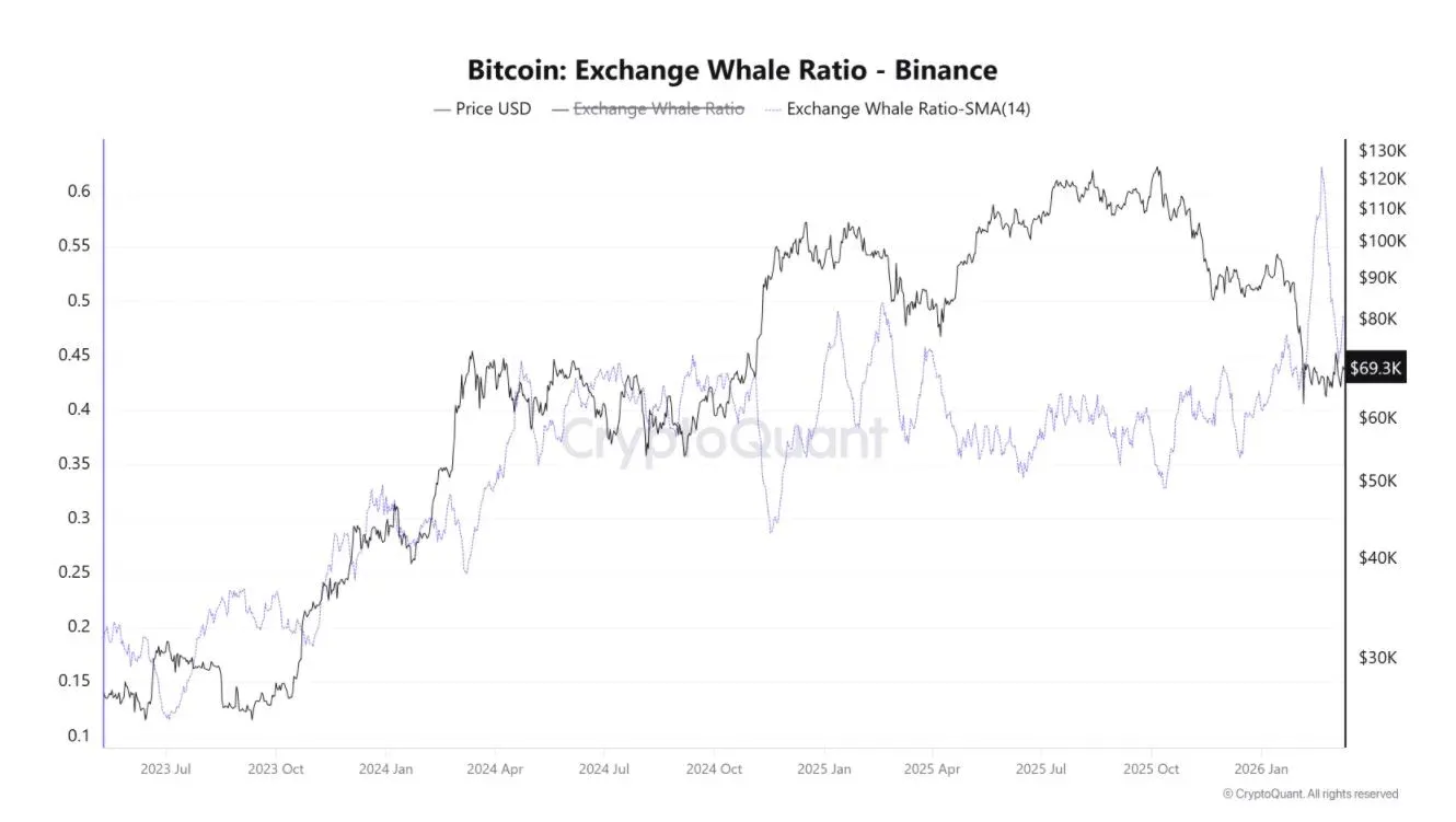 Después del pico de febrero, la actividad de las ballenas de Bitcoin retrocede