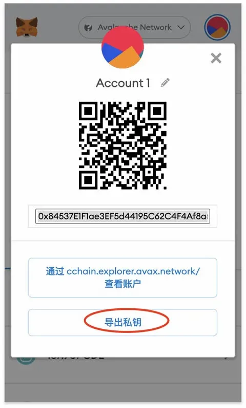 Tutorial de compartilhamento da carteira MetaMask (Fox), carteira TP e carteira Avalanche
