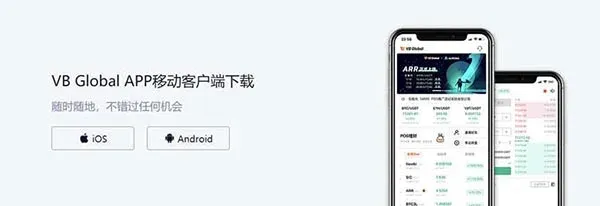 VB GLOBAL exchange logo and interface screenshot