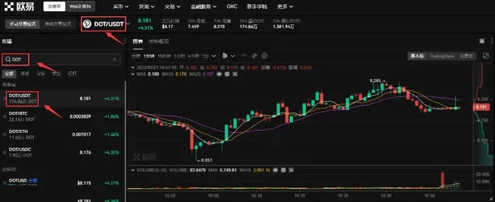 Trading page showing real‑time DOT/USDT price and order entry field