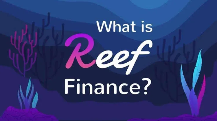 REEF代币标志及总供应量示意图