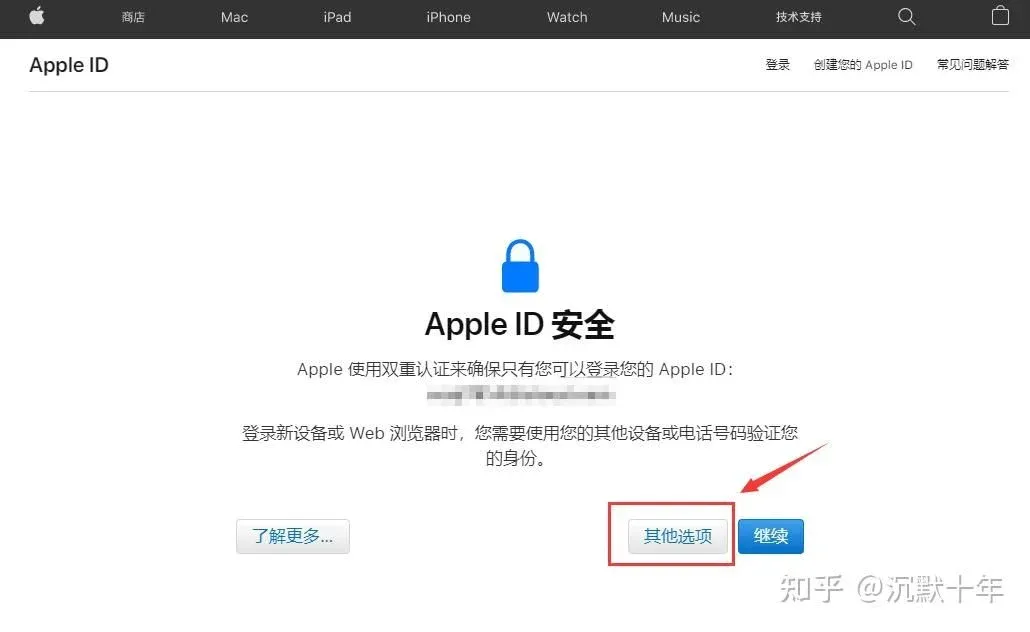 iPhone 设置页面显示“其它选择”和“不升级”按钮
