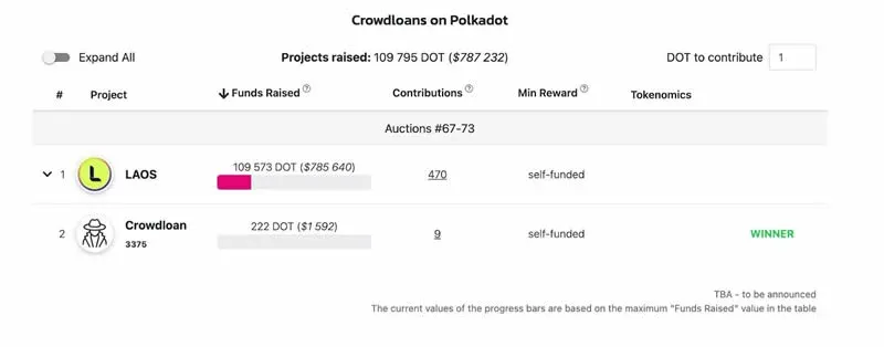 DOT 拍卖参与 11 万枚 约 80 万美元