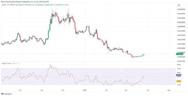 Floki Inu price trajectory with RSI line chart