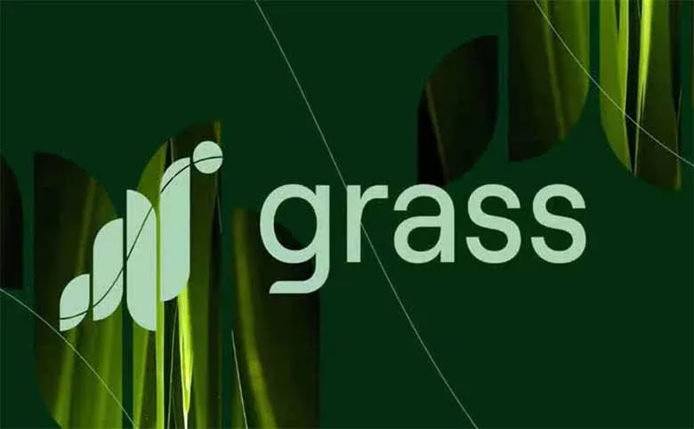 Grass 代幣標誌與綠色葉子圖案