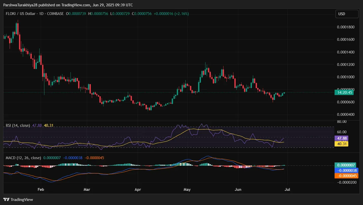 FLOKI price movement over the past year line chart – horizontal axis date, vertical axis USD