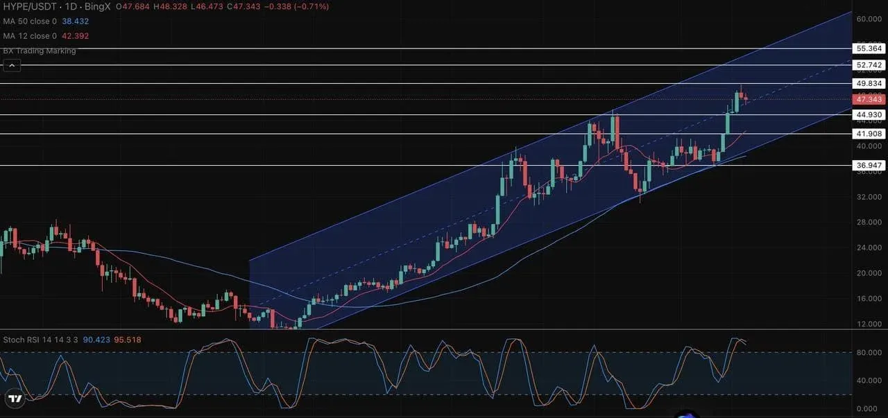 HYPE/USDT价格走势，位于上升通道，价格高于12日、50日均线