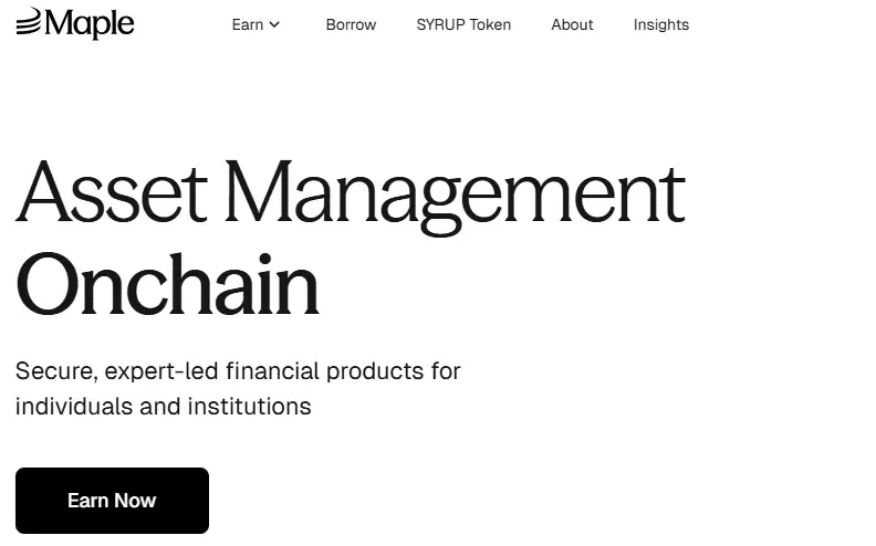 Maple Finance official website screenshot