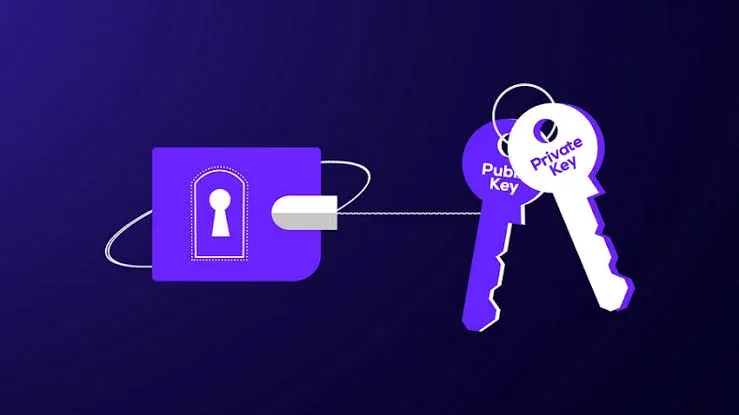 Guia completo de chaves públicas e privadas do Bitcoin
