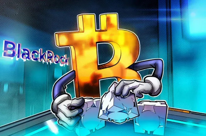 BlackRock's Bitcoin clients do not “guarantee” the application prospects of global payments