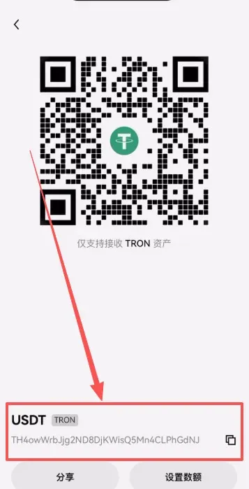 Transfer USDT to Web3 wallet – step 2 (address)