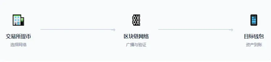 ¿Cuál es la diferencia entre TRC20, ERC20 y BEP20? ¿Qué cadena elegir para la transferencia más barata para principiantes?