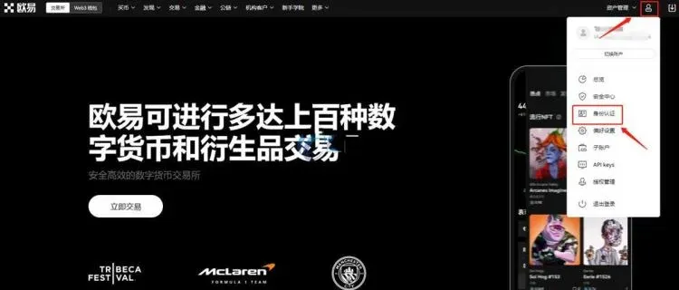 Homepage user‑center icon leading to identity verification page