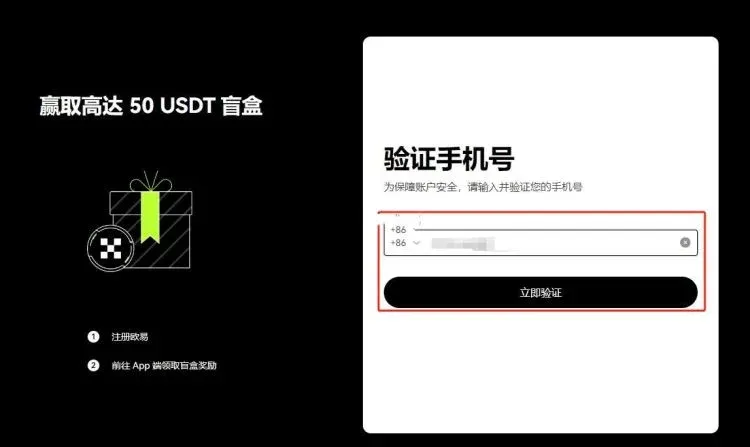 Phone number input box and six‑digit code entry page