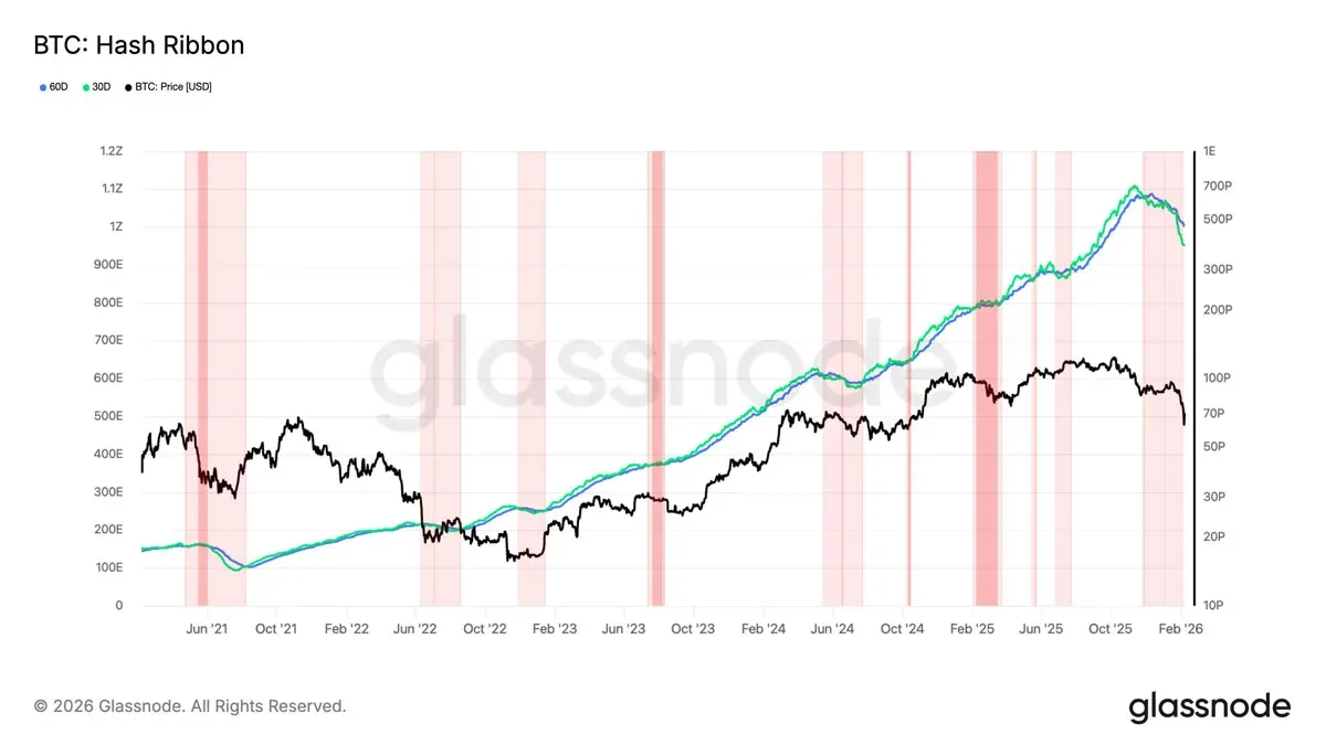 Line chart comparing Bitcoin price and hashrate trends
