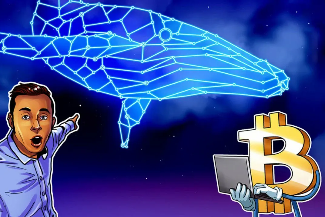 比特币巨鲸抄底4万枚BTC 推动价格反弹至7万美元
