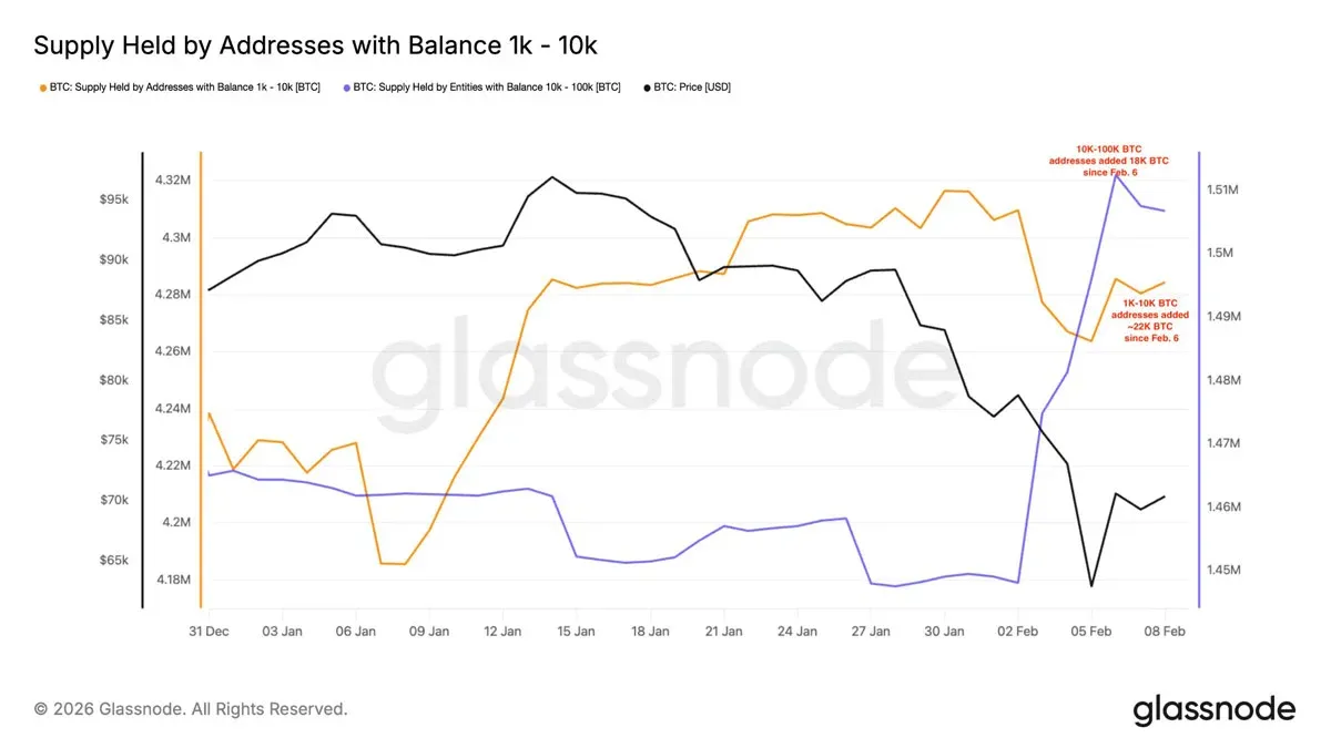 1,000‑10,000 与 10,000‑100,000 BTC 地址新增供应量柱形图