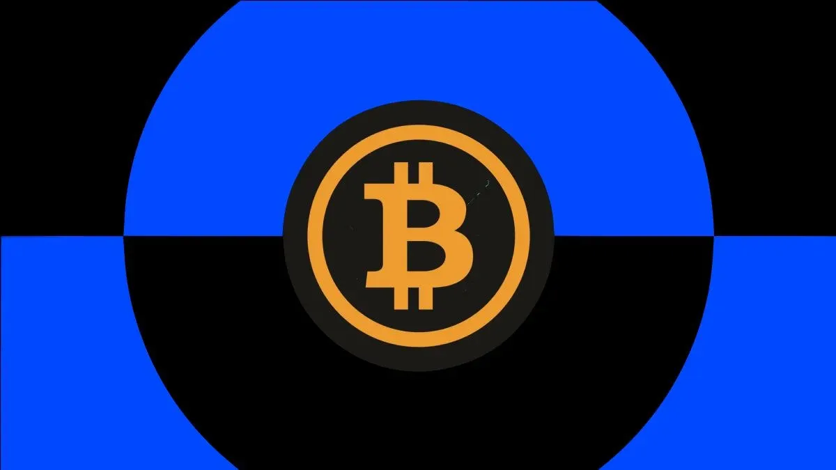 What is Satoshi Nakamoto's net worth? How many bitcoins does Satoshi Nakamoto own?